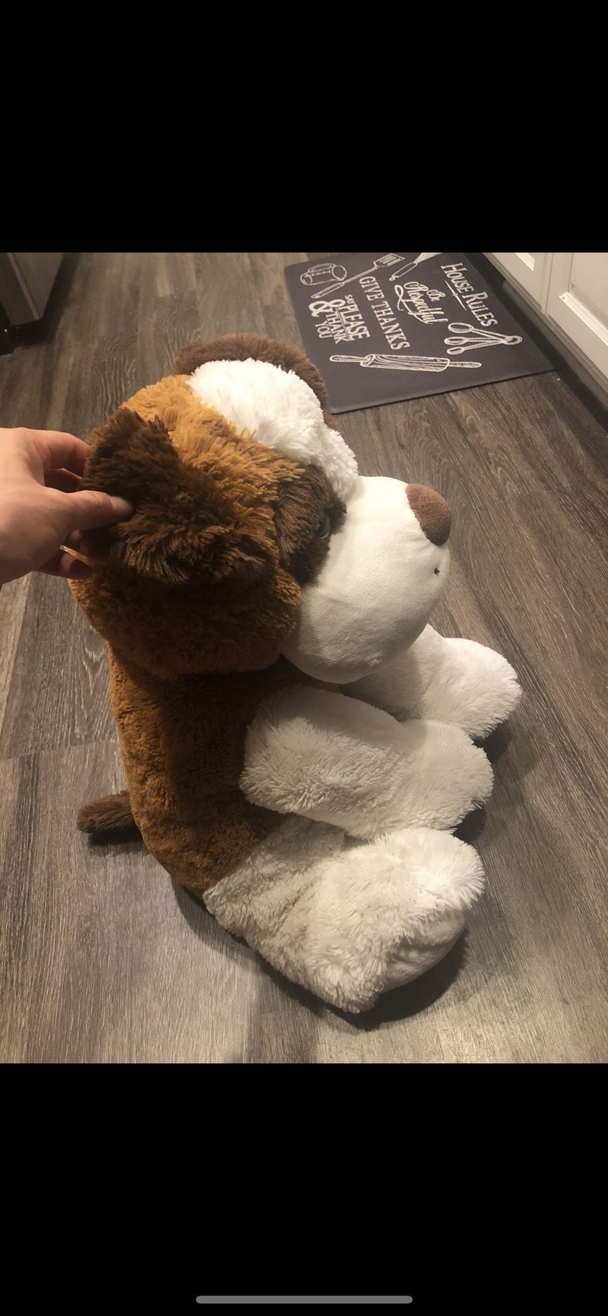 Plush Toy