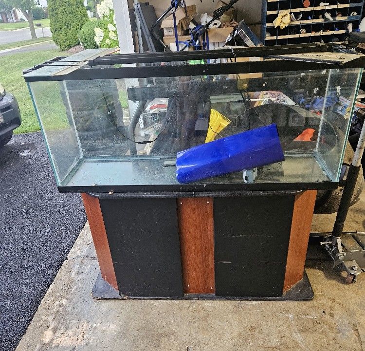 FREE 55 Gallon Aquarium / Stand