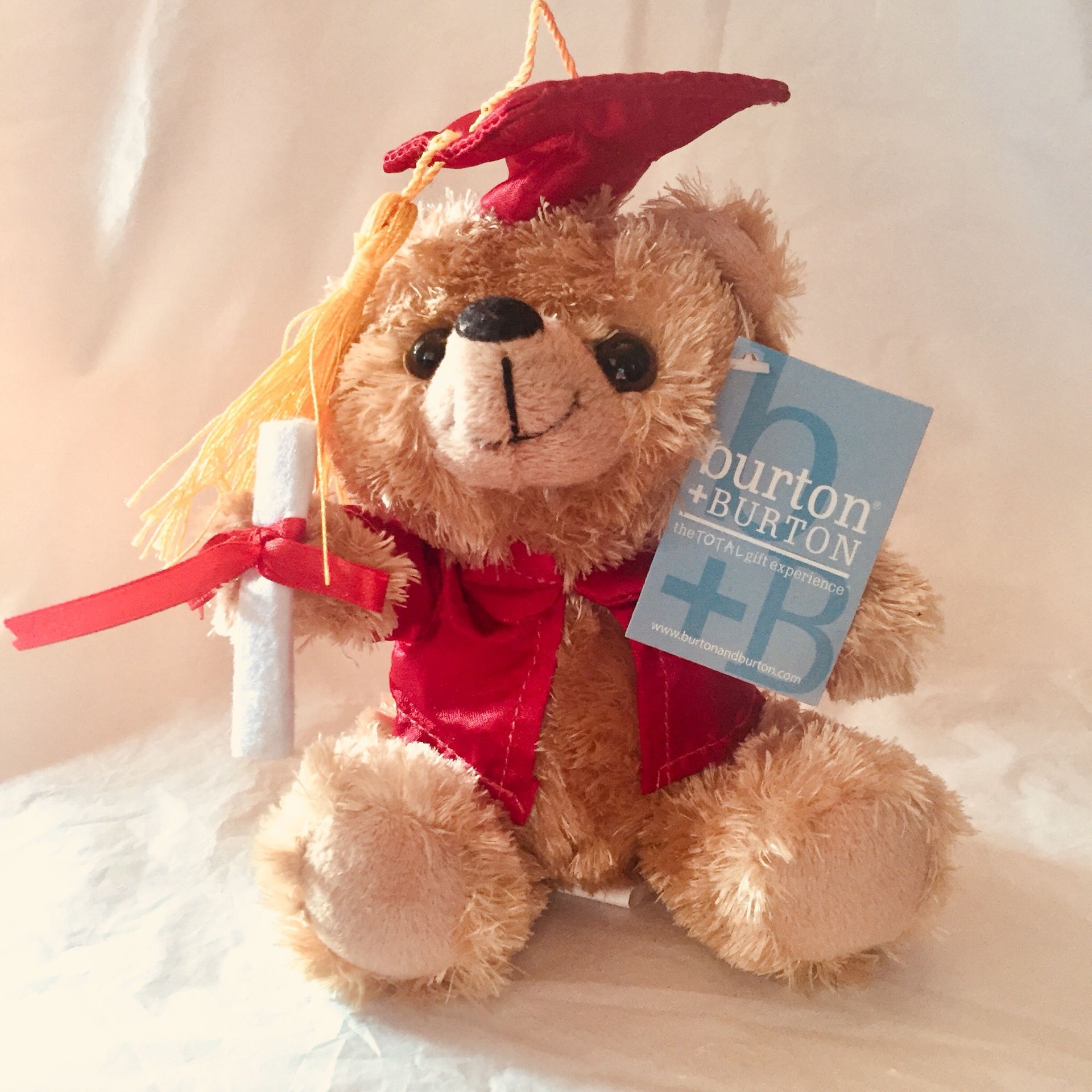 Graduation Plush Bear (Red)