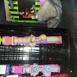 Cute Girl Dog Collar  For 18 Inch -26 Inch 