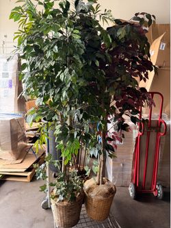 3 pcs decorative tall tree plants