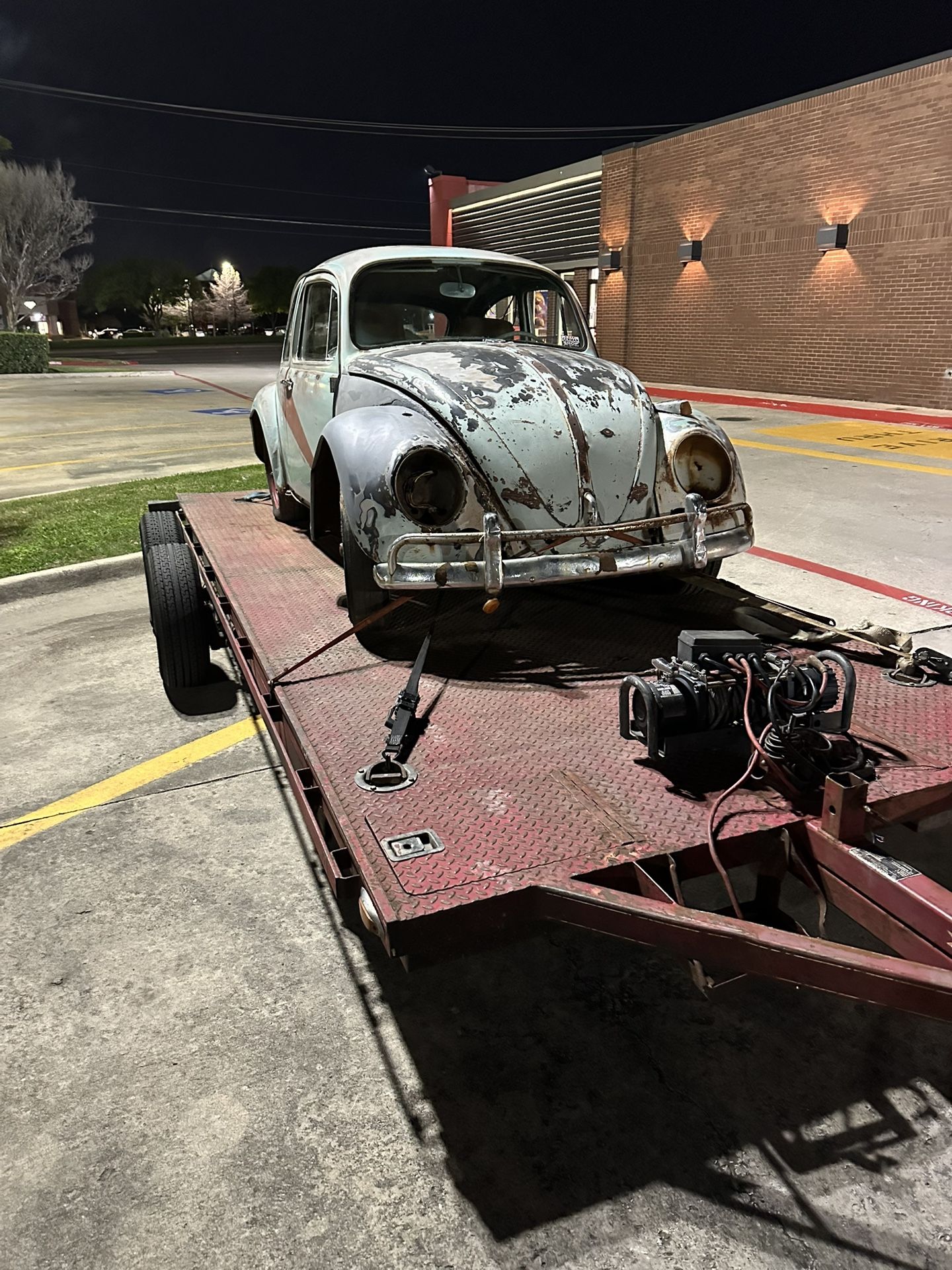 Vw Bug