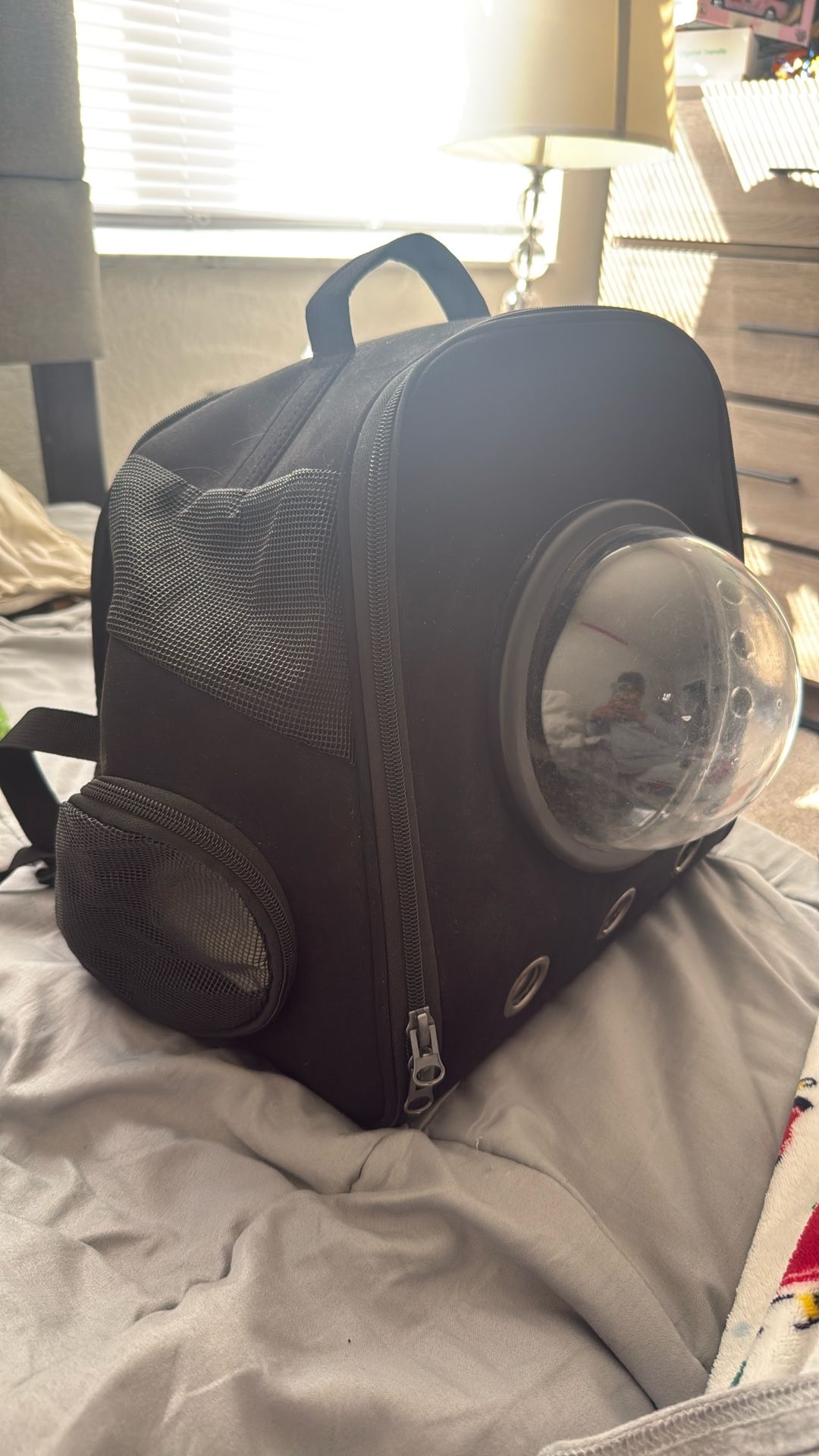 Cat Backpack