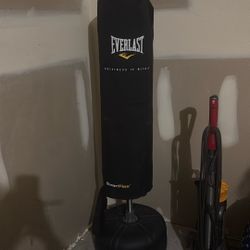 Everlast Punching Bag