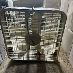 Fan