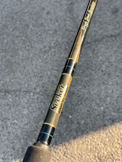 Shimano  Calcutta 400B and seeker rod