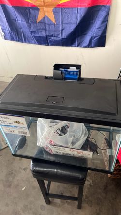 20 Gallon High Tank w Aqueon Quietflow10 filter and 100w preset heater
