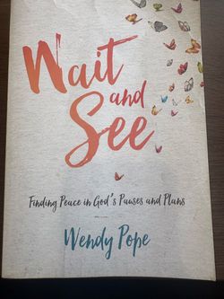 Wait and See by Wendy Pope Paperback