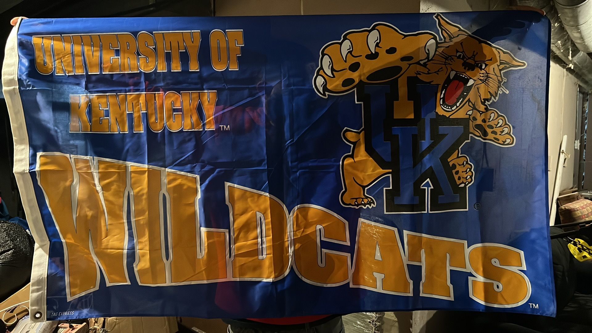 Wildcat Flag