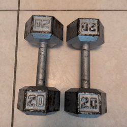 20lb dumbbells /weights