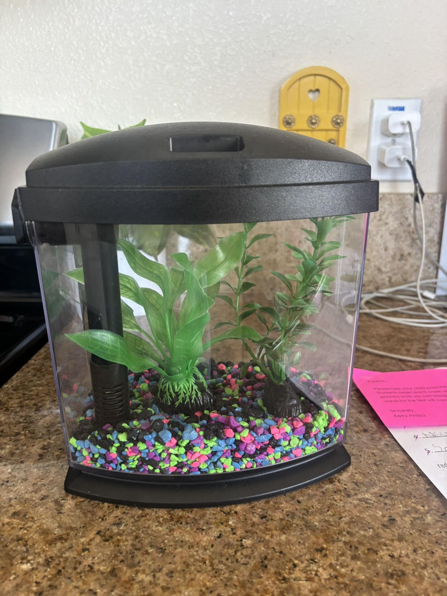 petco 1 gallon betta tank (rocks and decor not included)
