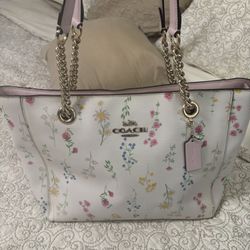 Coach Purse  No Stain Or Rips 