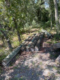 Power poles for sale