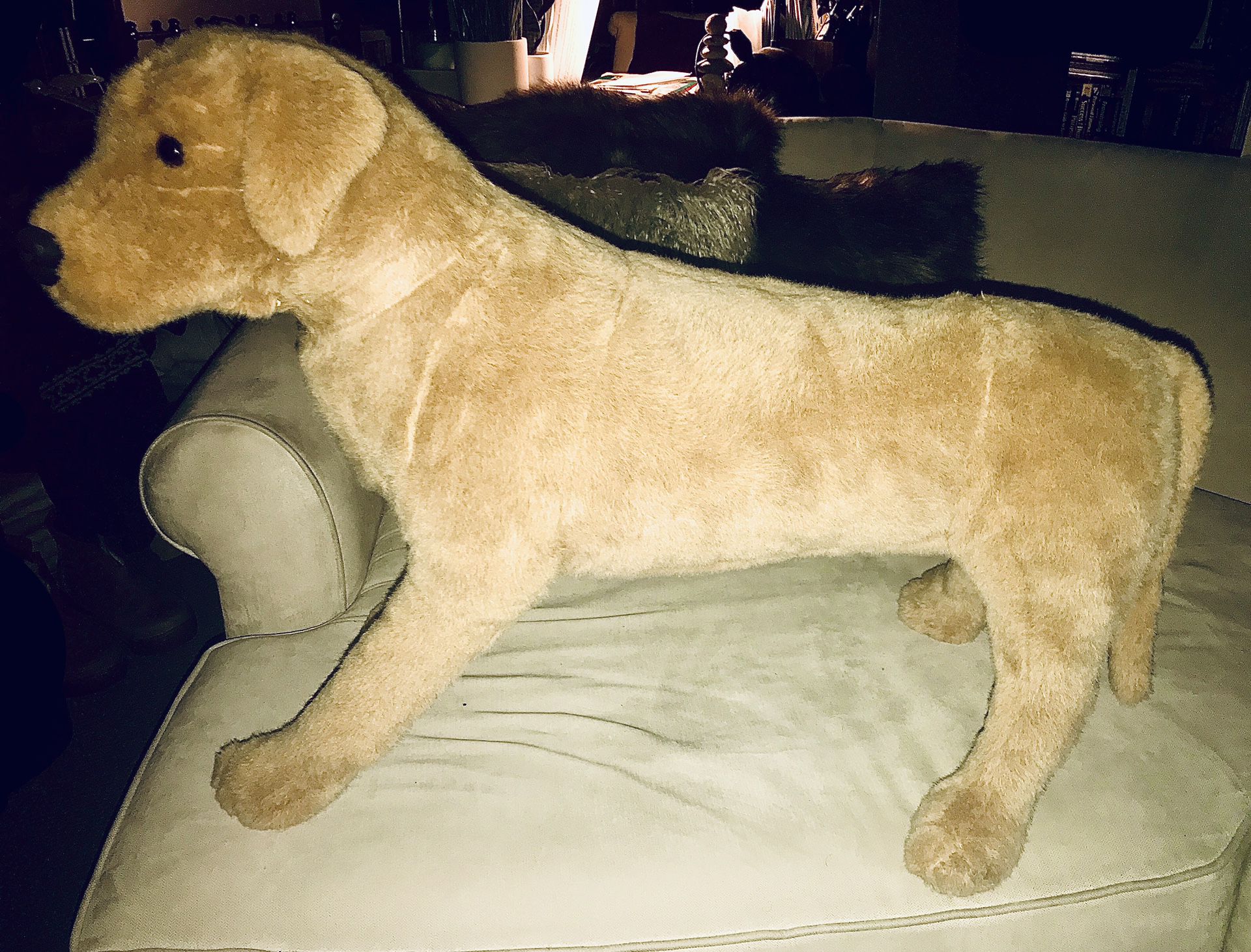 Very Large Stuffed Dog; originally cost $120 from Macy’s