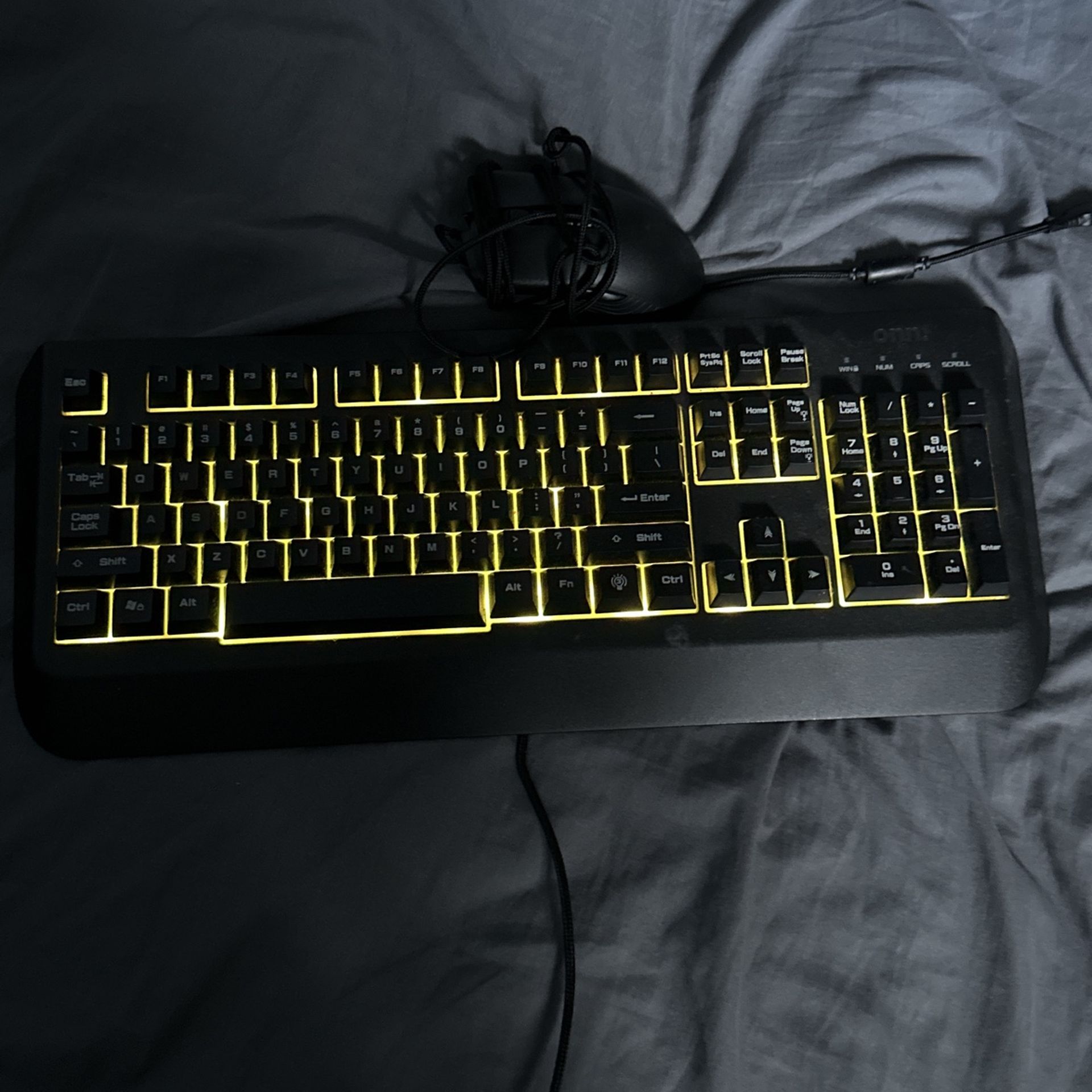 Keyboard and mouse