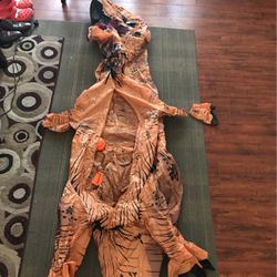 Semi Used Dinosaur Suit
