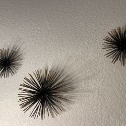 Sea Urchin Wall Decor