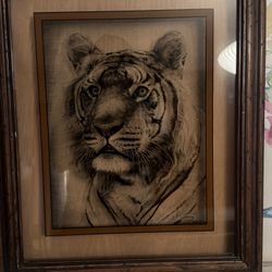 TIGER BY D. CURRY, 1976 LUCID LINES PHOTOGRAPH ON GLASS