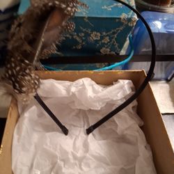 Headband With Side Feathers
