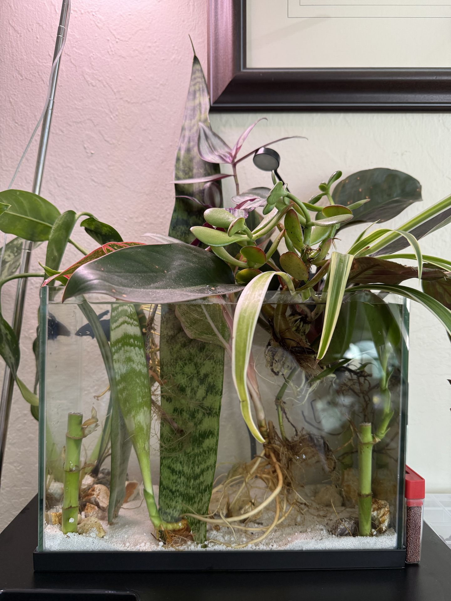 Self sustainable aquatic tanks