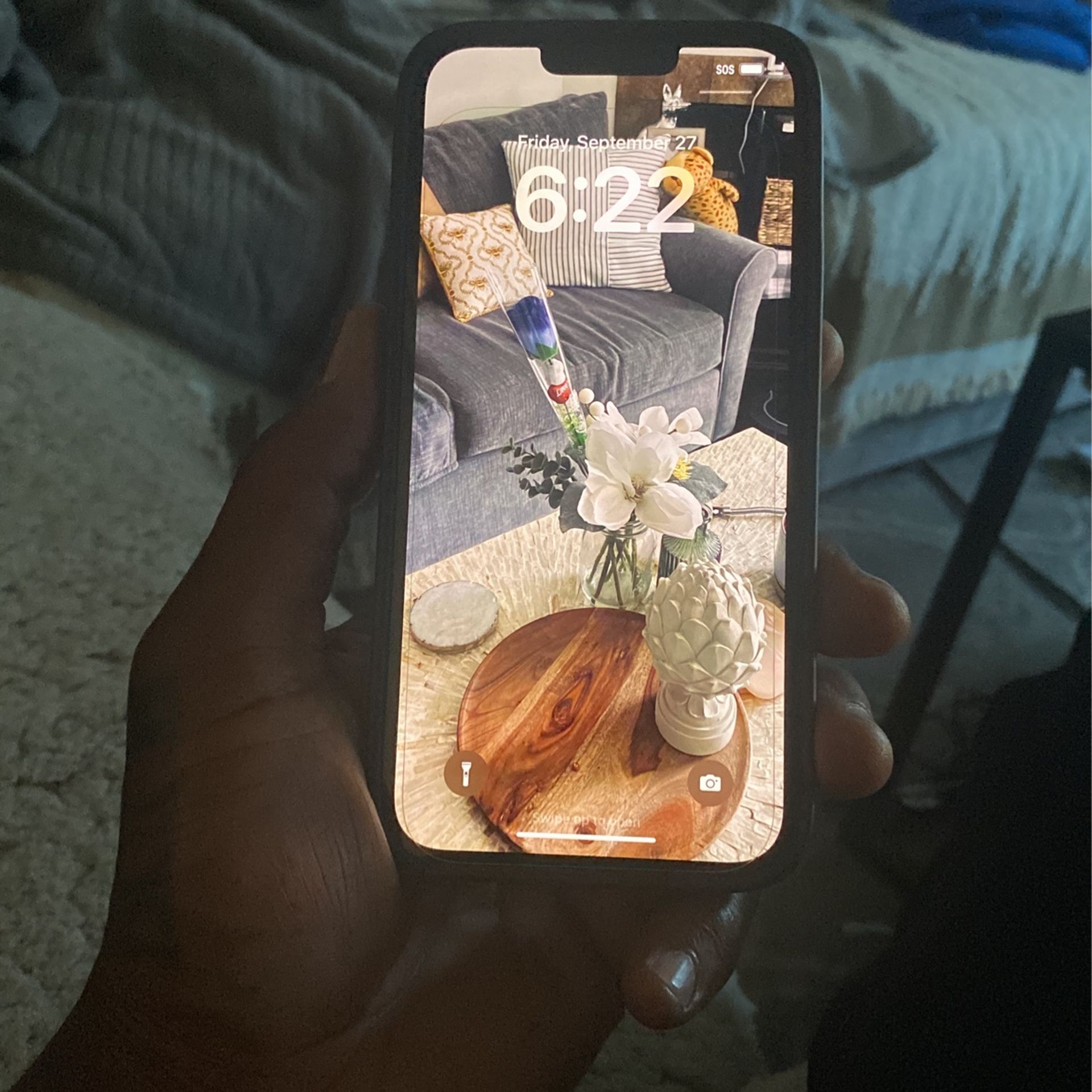iPhone 14 Plus