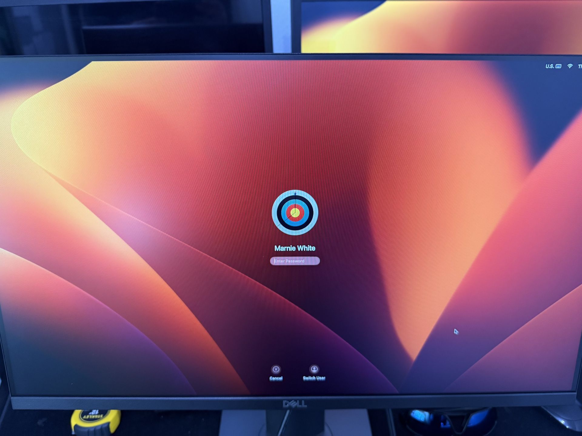 P24 Dell Monitor