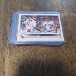 Baseball Card Collection 