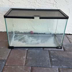 Small Hermit Crab Tank 