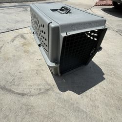 dog cage small