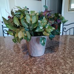 Decorative, Artificial, Plant, Plants 