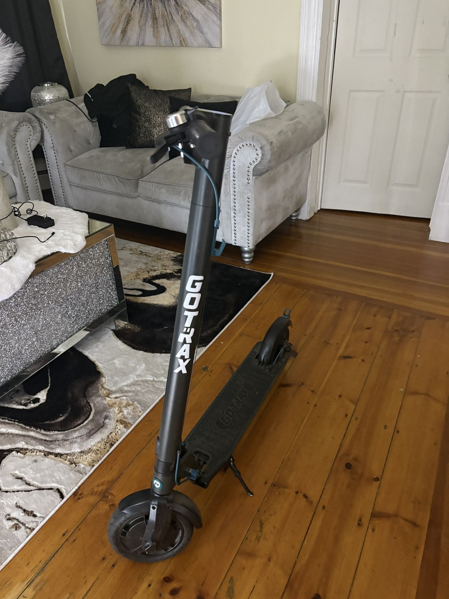 Eletric GoTrax Scooter