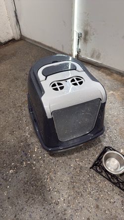 Cat litter box with food and water trays
