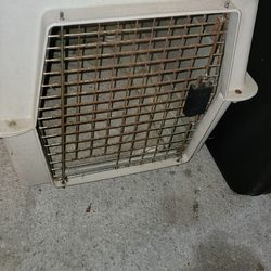 Dog Crate 