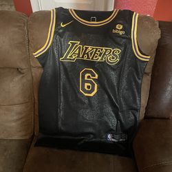 Brand New LeBron James Jersey Size Large $70