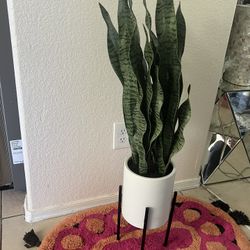 Artificial Plants 