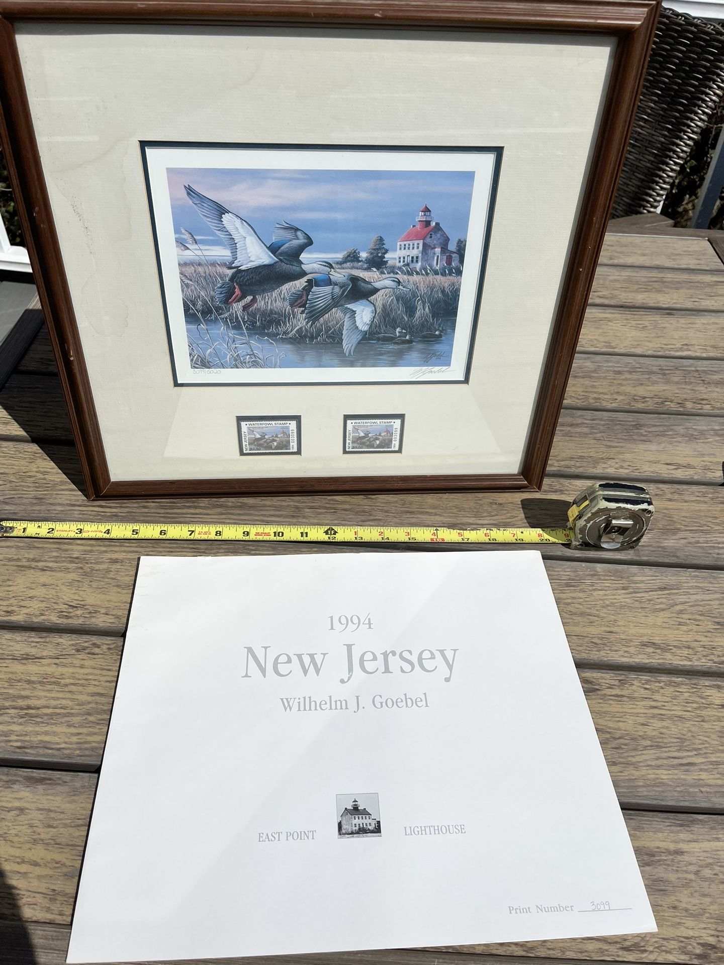 Framed State Duck stamp Limited Edition Prints