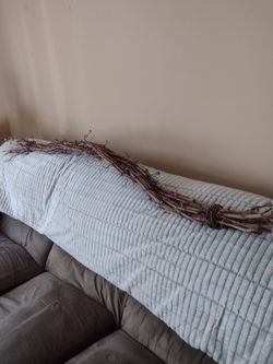 California Napa Grapevine Bundle