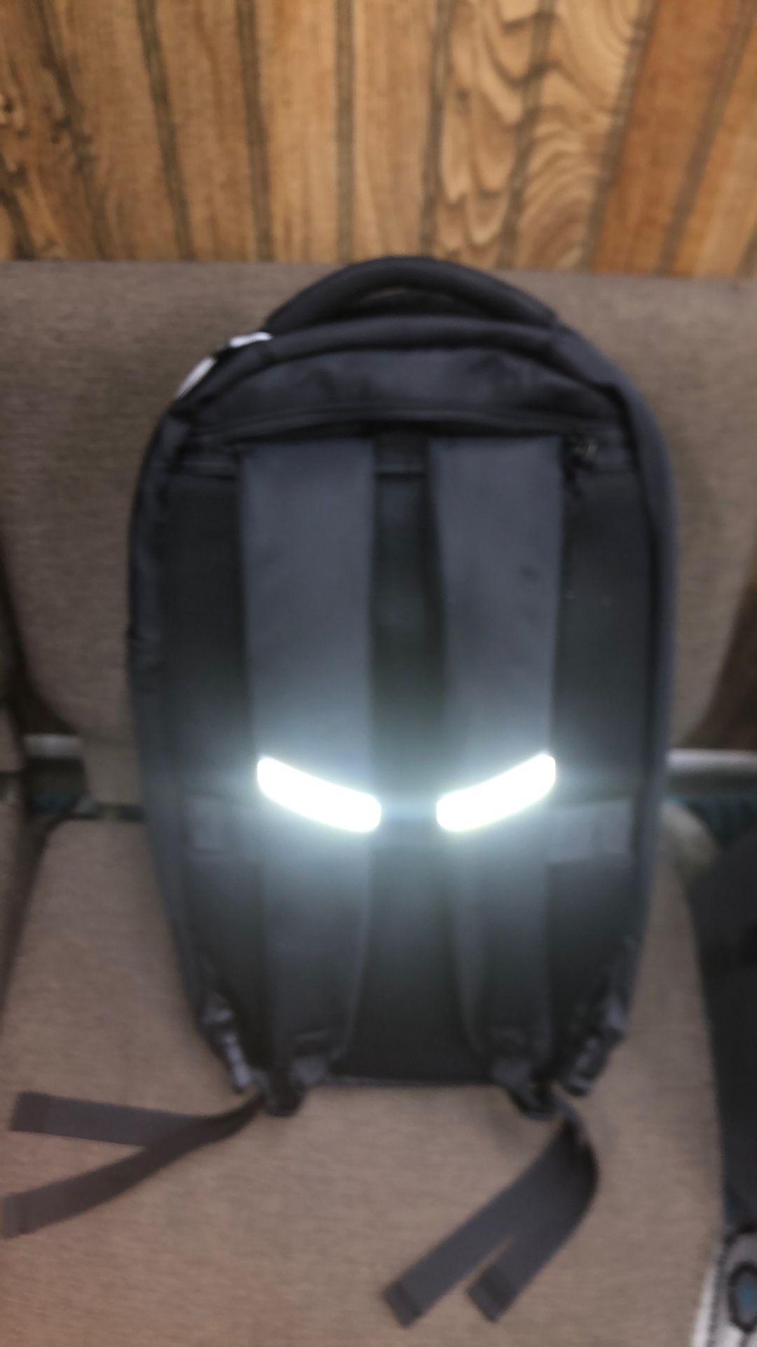 True Religion Backpack