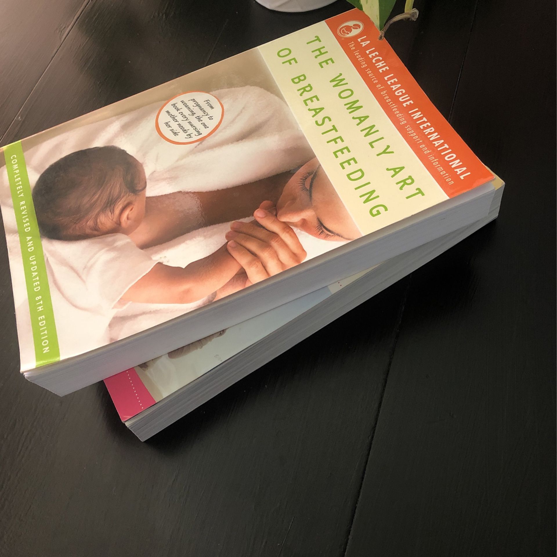 Maternity & Nursing Guide Books