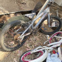 I’m Bicycles All Ages 