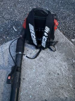 ECHO BLOWER