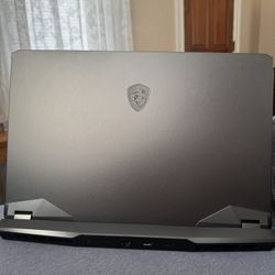 Gaming Laptop MSI GE76 Raider