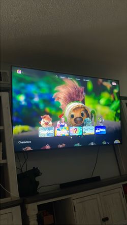 Sony Bravia 75” tv