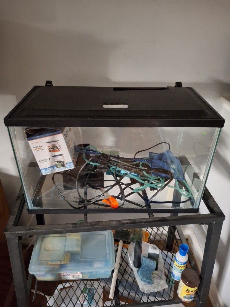 Fish Tank