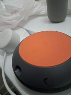 Google nest with speaker