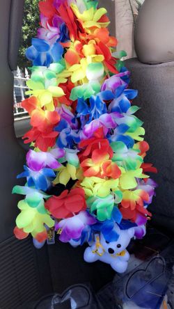 Leis graduación