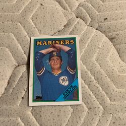 Steve Shields Baseball Card