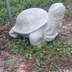 Concrete Turtle