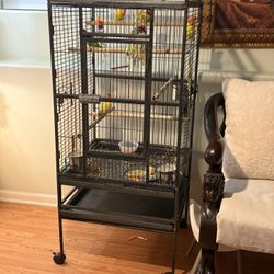 I Sell Cage For Lovebirds 