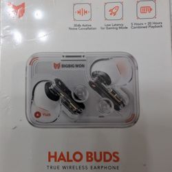Noise Cancelling Earbuds